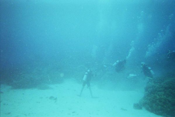 002_GREAT_BARRIER_REEF_002.jpg