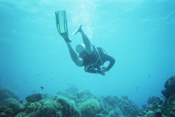 010_GREAT_BARRIER_REEF_010.jpg