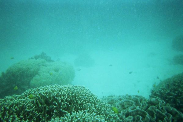 015_GREAT_BARRIER_REEF_015.jpg