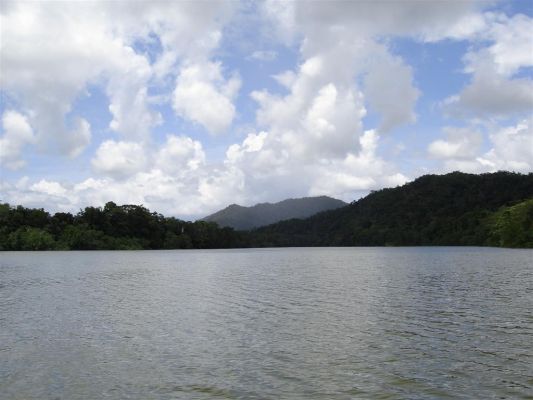 078_DAINTREE_RIVER_012.JPG