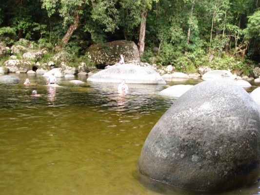 097_DAINTREE_RAIN_FOREST_016.JPG