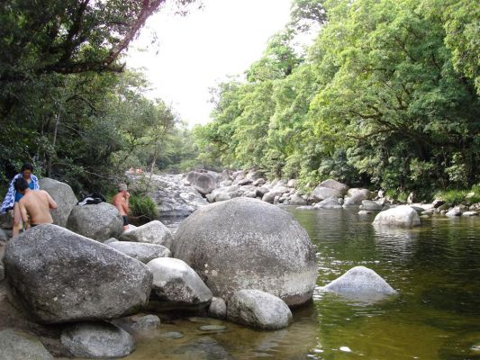 100_DAINTREE_RAIN_FOREST_019.JPG