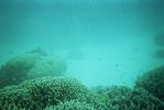 015_GREAT_BARRIER_REEF_015.jpg