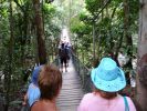 082_DAINTREE_RAIN_FOREST_001.JPG