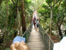 083_DAINTREE_RAIN_FOREST_002.JPG