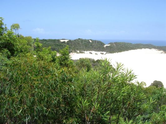 023_FRASER_ISLAND_005.JPG