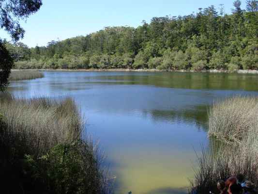 060_FRASER_ISLAND_042.JPG