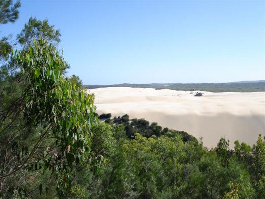 066_FRASER_ISLAND_048.JPG