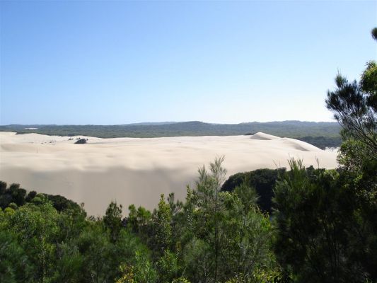 067_FRASER_ISLAND_049.JPG