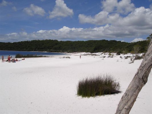 091_FRASER_ISLAND_073.JPG