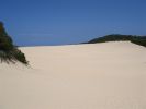 025_FRASER_ISLAND_007.JPG