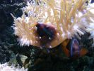 014_SEA_WORLD_013.JPG